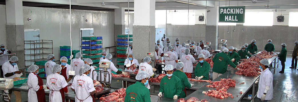 Fresh frozen meat exporters