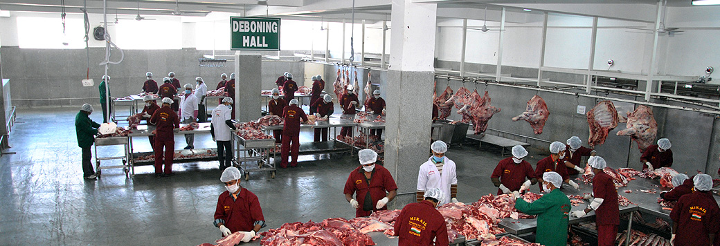 frozen meat exporters